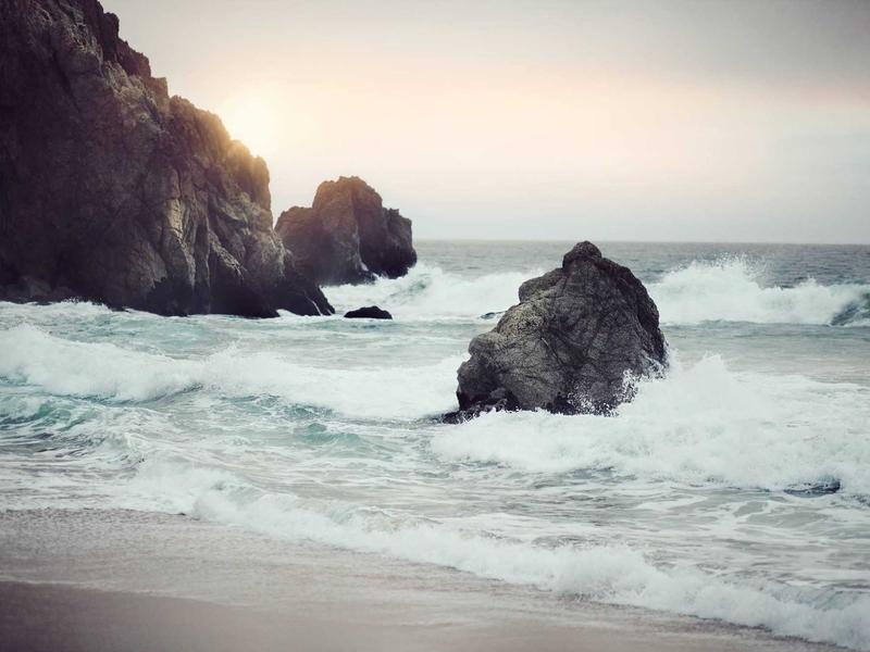 partners screenshot 3